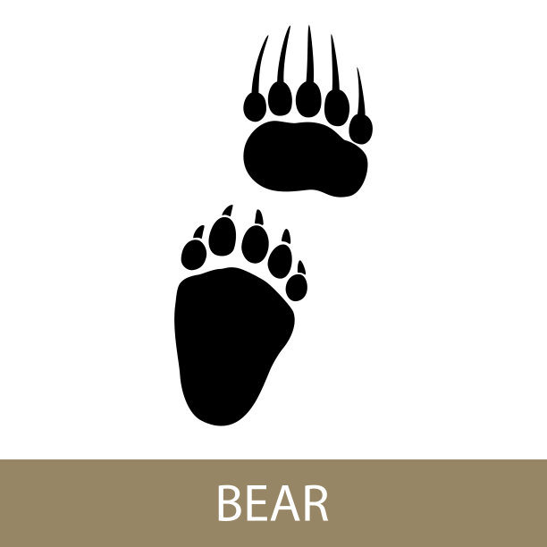 动物熊的痕迹图片下载