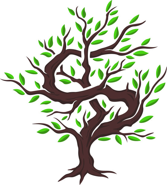 孤立的金钱树图片下载