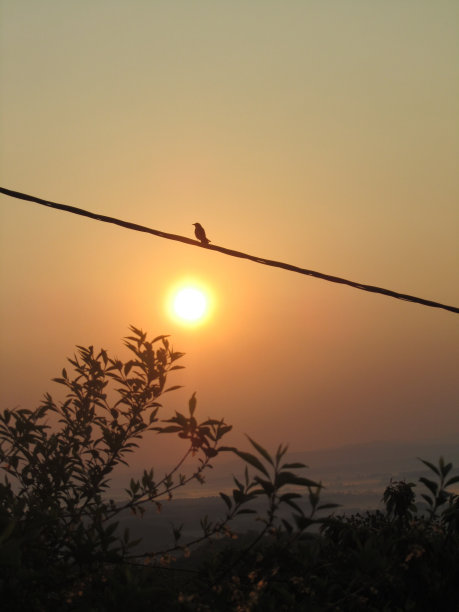 雾蒙蒙的日落图片下载