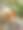 动物/野生动物图片下载