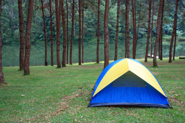 在松林中露营用的帐篷图片下载