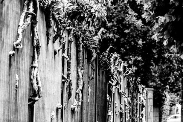 穿过大门图片下载