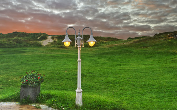 清晨在绿色的田野里图片下载