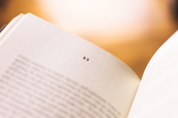 阅读书的第85章图片下载