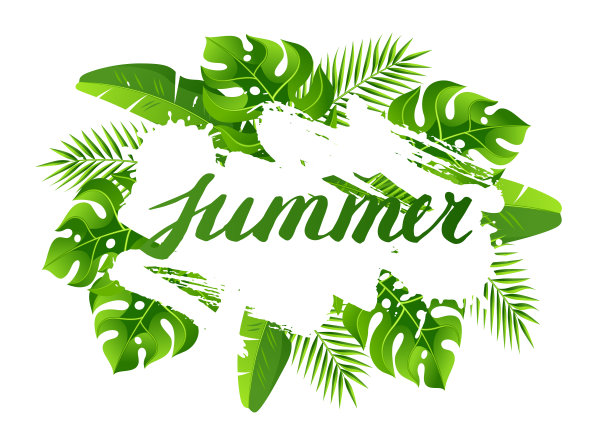 热带棕榈叶背景，异国情调热带植物，丛林自然插图素材图片