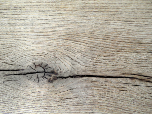 老木纹带结图片下载