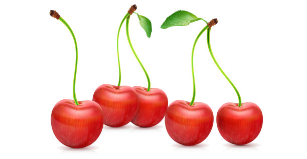 樱桃,插图图片下载