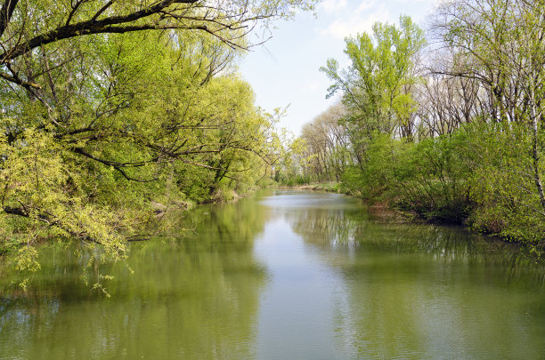 带水道的河岸林素材图片