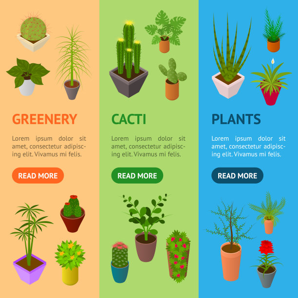 绿色植物在盆栽旗帜垂直设置3d等距视图。向量图片下载