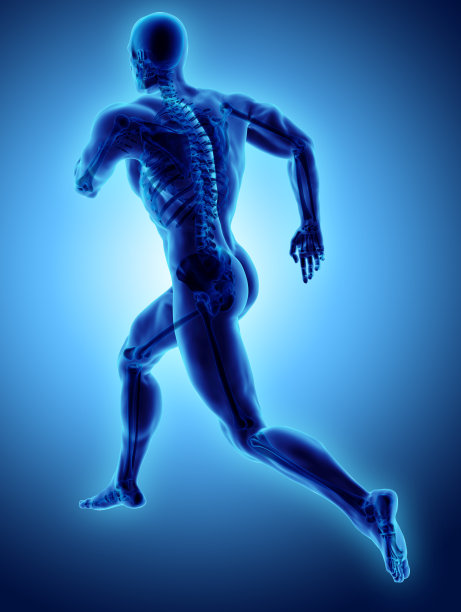 3d插图男性跑步姿势与x射线骨骼关节，医学概念。素材图片