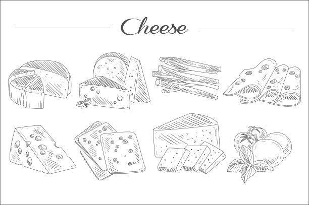 手绘一套不同类型的奶酪。有机和新鲜的乳制品。逼真的素描风格图标。单色矢量装饰设计图片下载