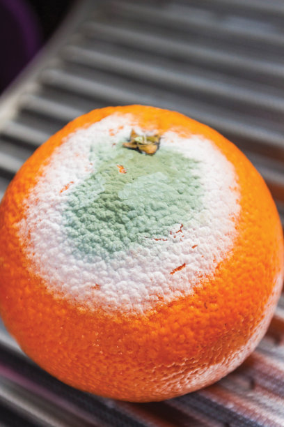 发霉的背景图案图片下载