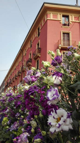 米兰街道上的花卉装饰图片下载