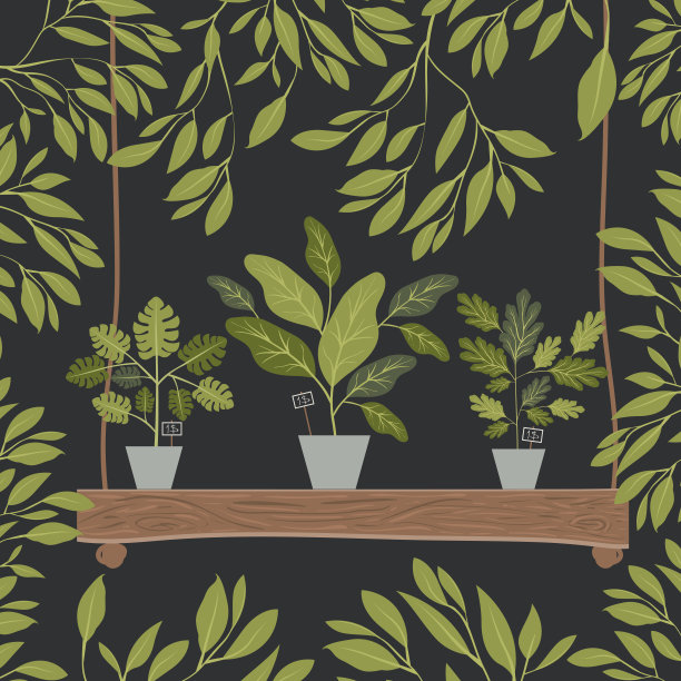 架子木装饰室内植物图片下载