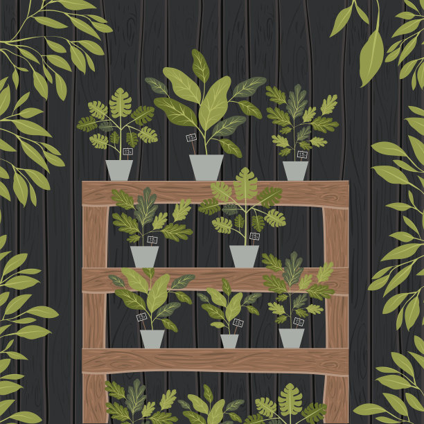 架子木装饰室内植物图片下载