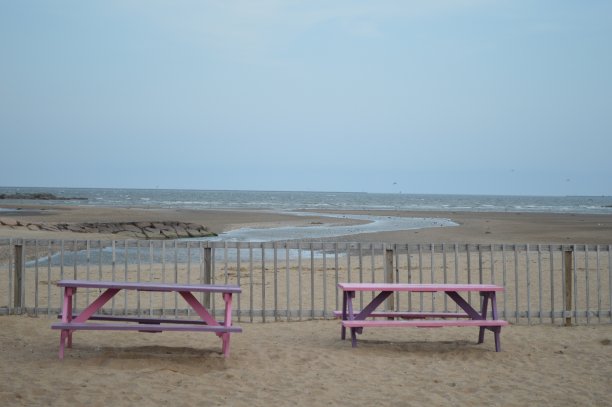 海滩上的粉色野餐桌图片下载