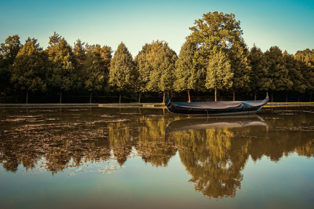 湖边的树顶着天空图片下载