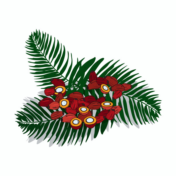 孤立的剪纸艺术棕榈图片下载