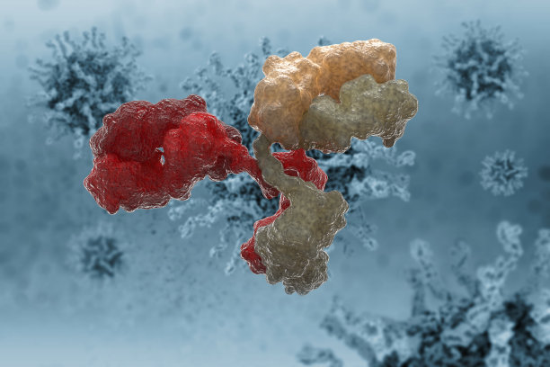 对抗病毒细胞运动的抗体。图片下载