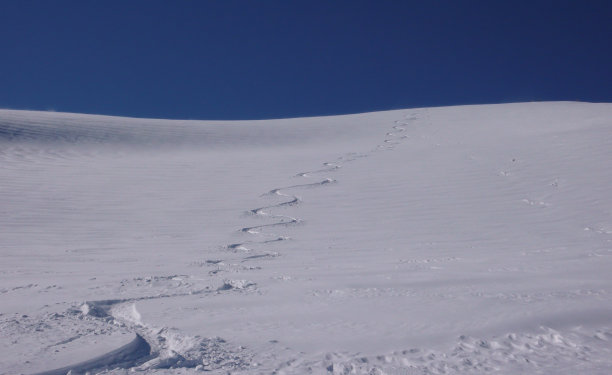 乡间雪道上的新粉雪图片下载