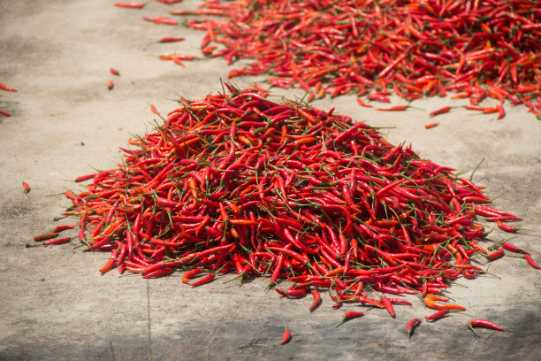 干辣椒素材图片