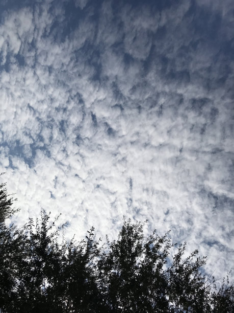 天空背景与云彩和笔刷。照片图像图片下载