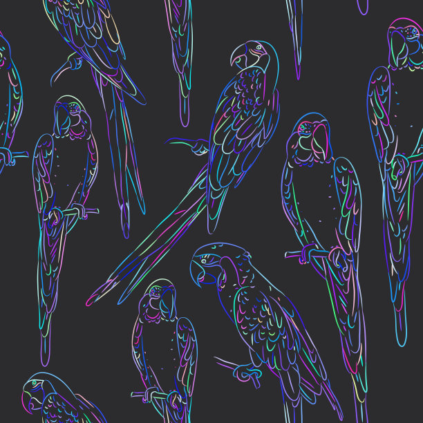 彩虹蓝色金刚鹦鹉素描无缝图案上的黑色背景纺织印花，网页填充。向量图片下载
