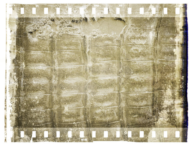 复古的棕色薄膜带框架与鳄鱼皮表面。图片下载