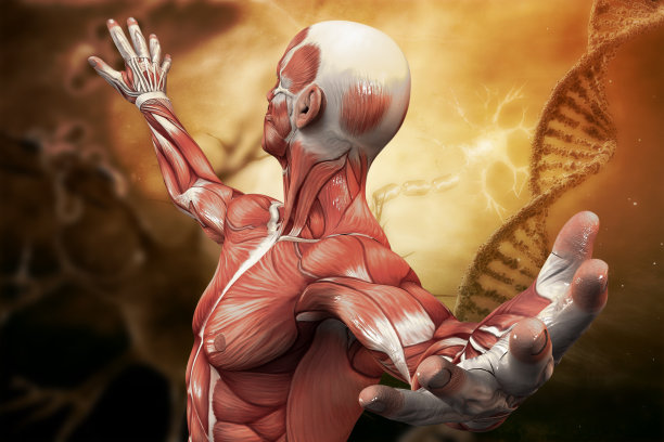 DNA，神经元分子和人类的艺术背景。三维演示图片下载