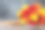 教师节照片素材ID：317357028
