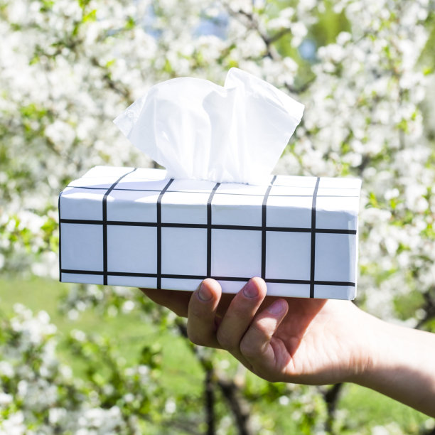 一个男人的手拿着一个黑色和白色的盒子和餐巾对着盛开的春天树。对盛开概念过敏素材图片