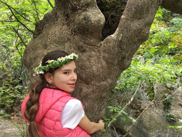 拥抱树木有利于健康图片下载