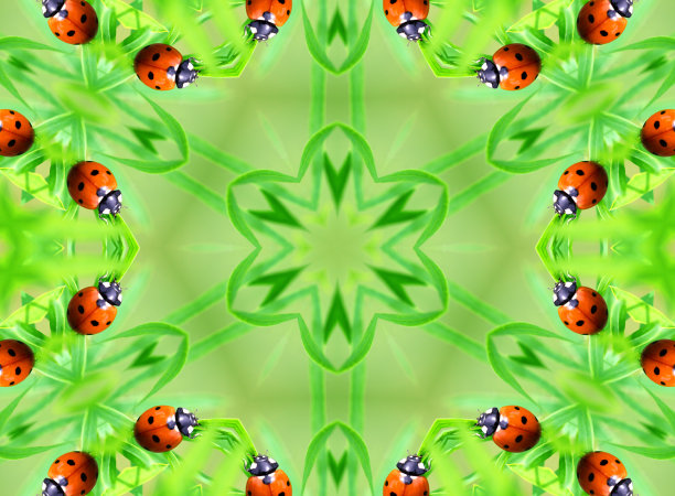 有图案的背景图片下载