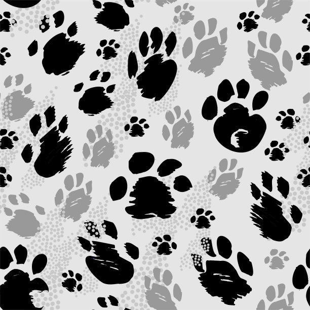 有不同大小动物的痕迹图片下载