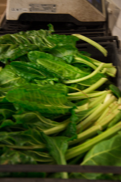 一篮本地新鲜菠菜图片下载