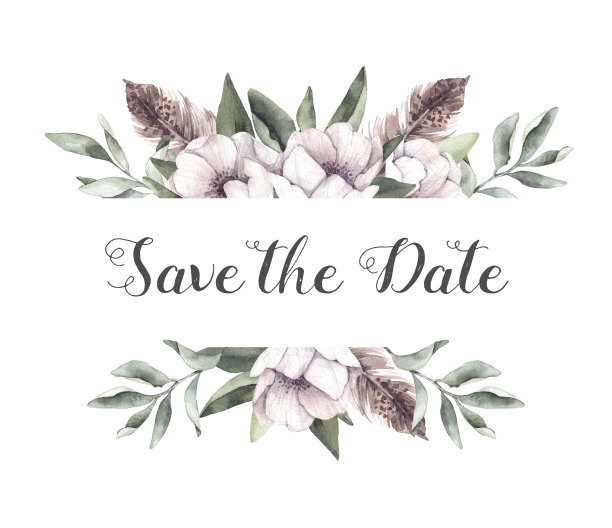 手绘水彩插图-花卉标签。春天的树枝上有银莲花花和羽毛。完美的婚礼邀请函，贺卡，证书，打印和更多图片下载