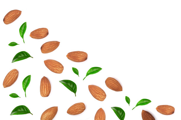 杏仁装饰的叶子孤立的白色背景与复制空间为您的文本。前视图。平躺模式图片下载