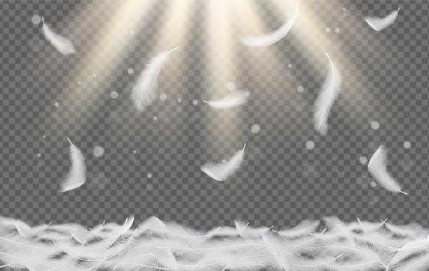 飘落的白色羽毛矢量逼真的插图图片下载