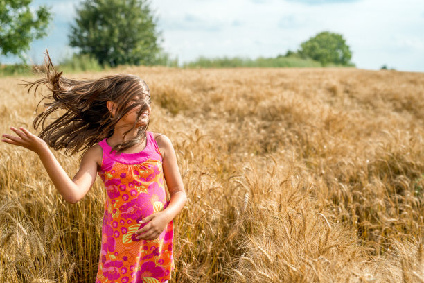 快乐的小女孩在成熟的麦田里图片下载