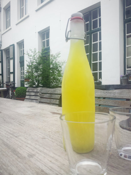 自制柠檬切酒图片下载