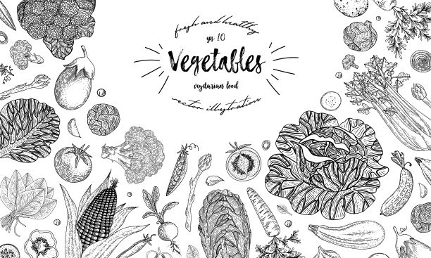 农贸市场菜单设计模板：复古手绘草图矢量素材，可用于包装纸、宣传单、banner、商店、菜单、咖啡馆、餐厅图片下载