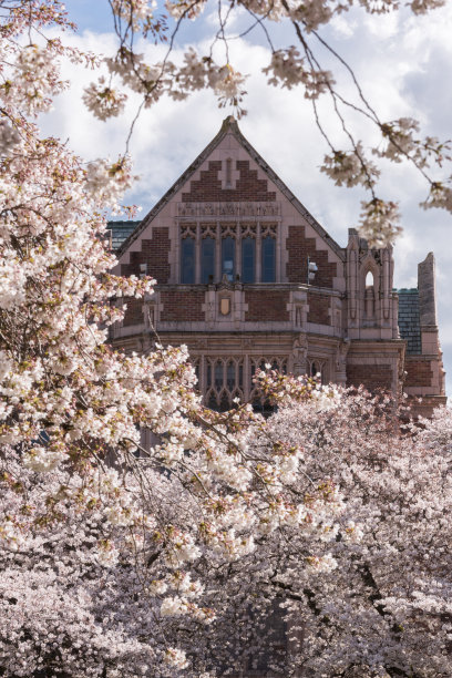 学校图片素材ID：317424054