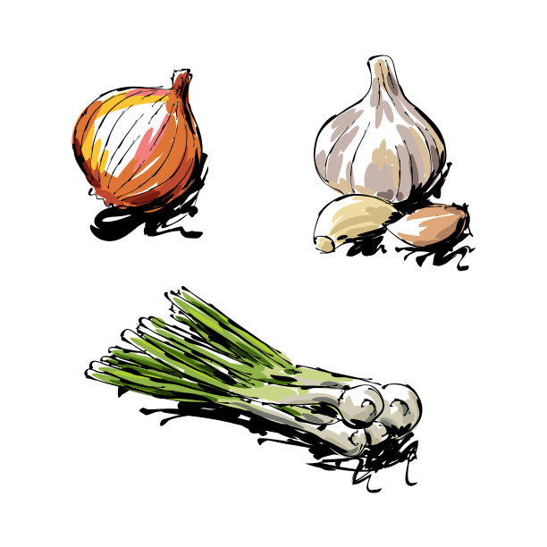 蔬菜画图片下载