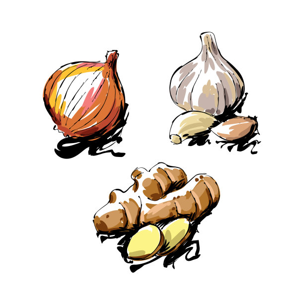 蔬菜画图片下载