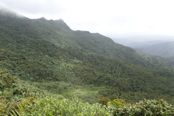 El Yunque国家森林Luquillio Puerto Rico图片下载