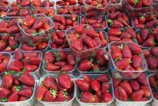 桶装的新鲜草莓在农贸市场出售。食品的背景。图片下载