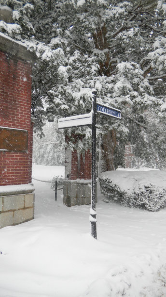 雪中的弗雷德里克斯堡弗吉尼亚图片下载