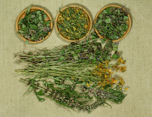 一套治疗药草。图片下载