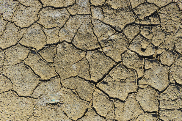 干土开裂素材图片