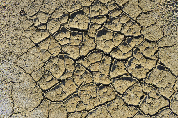 干土开裂素材图片